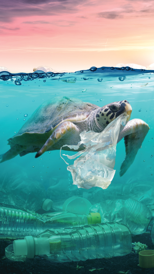 Beneath the Surface: Unveiling the Devastating Impact of Plastic Pollution on Aquatic Ecosystems
